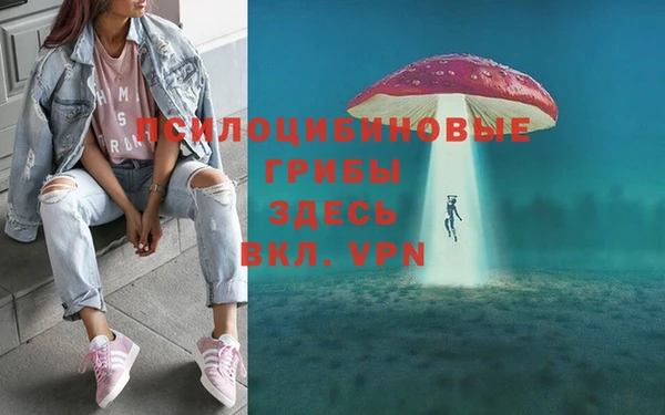 винт Медногорск