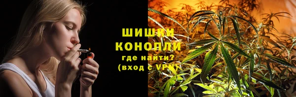 прущие грибы Баксан