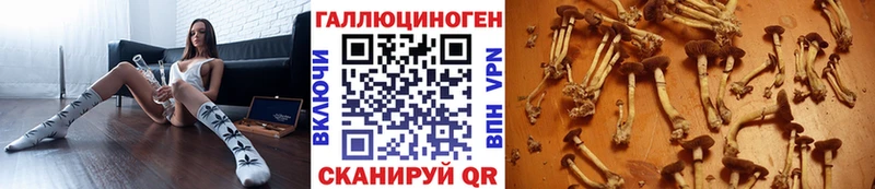 Псилоцибиновые грибы мухоморы  Химки 