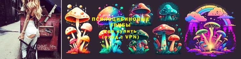 Псилоцибиновые грибы Magic Shrooms  Химки 