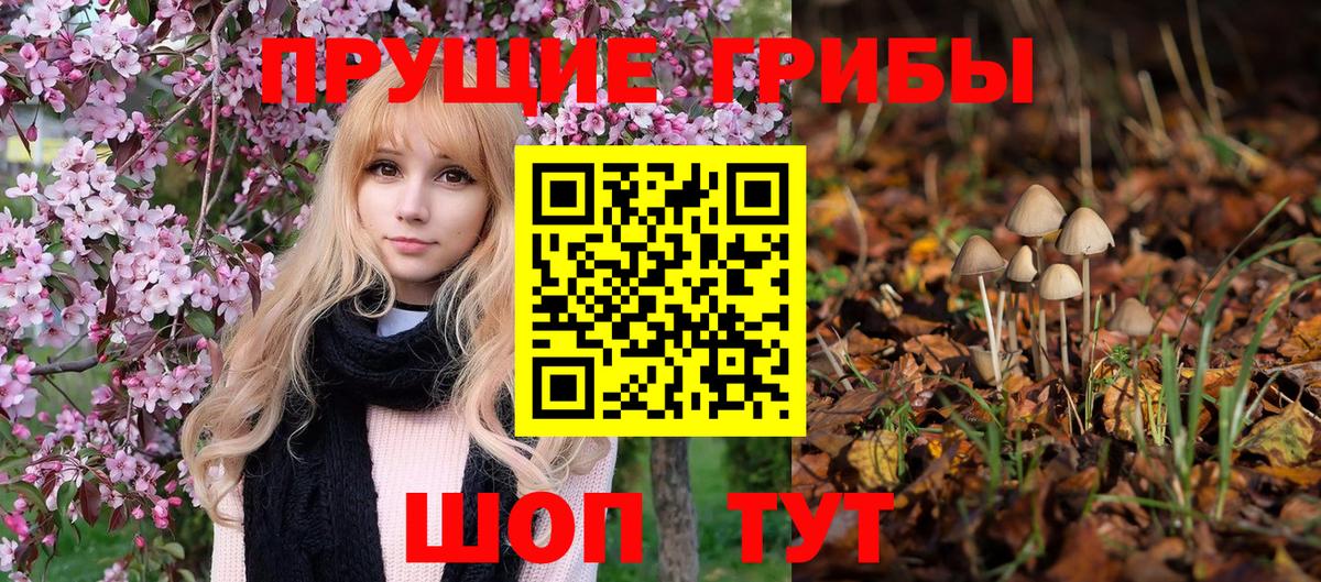 Химки  Галлюциногенные грибы Cubensis  Галлюциногенные грибы Cubensis  Вход с VPN 