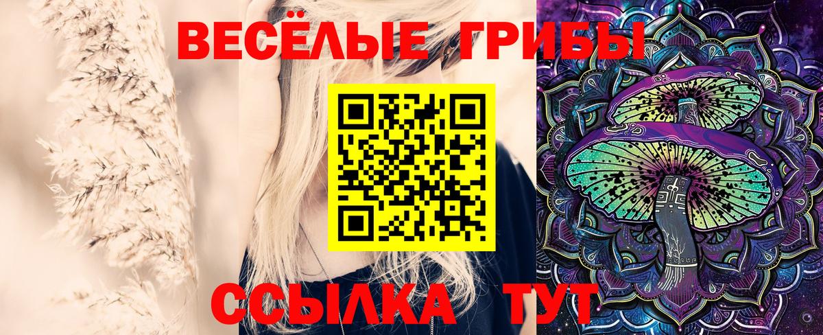 Псилоцибиновые грибы ЛСД Химки