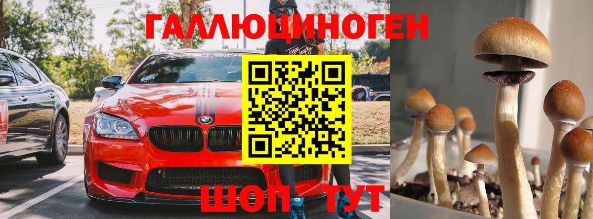Галлюциногенные грибы Cubensis  Химки 